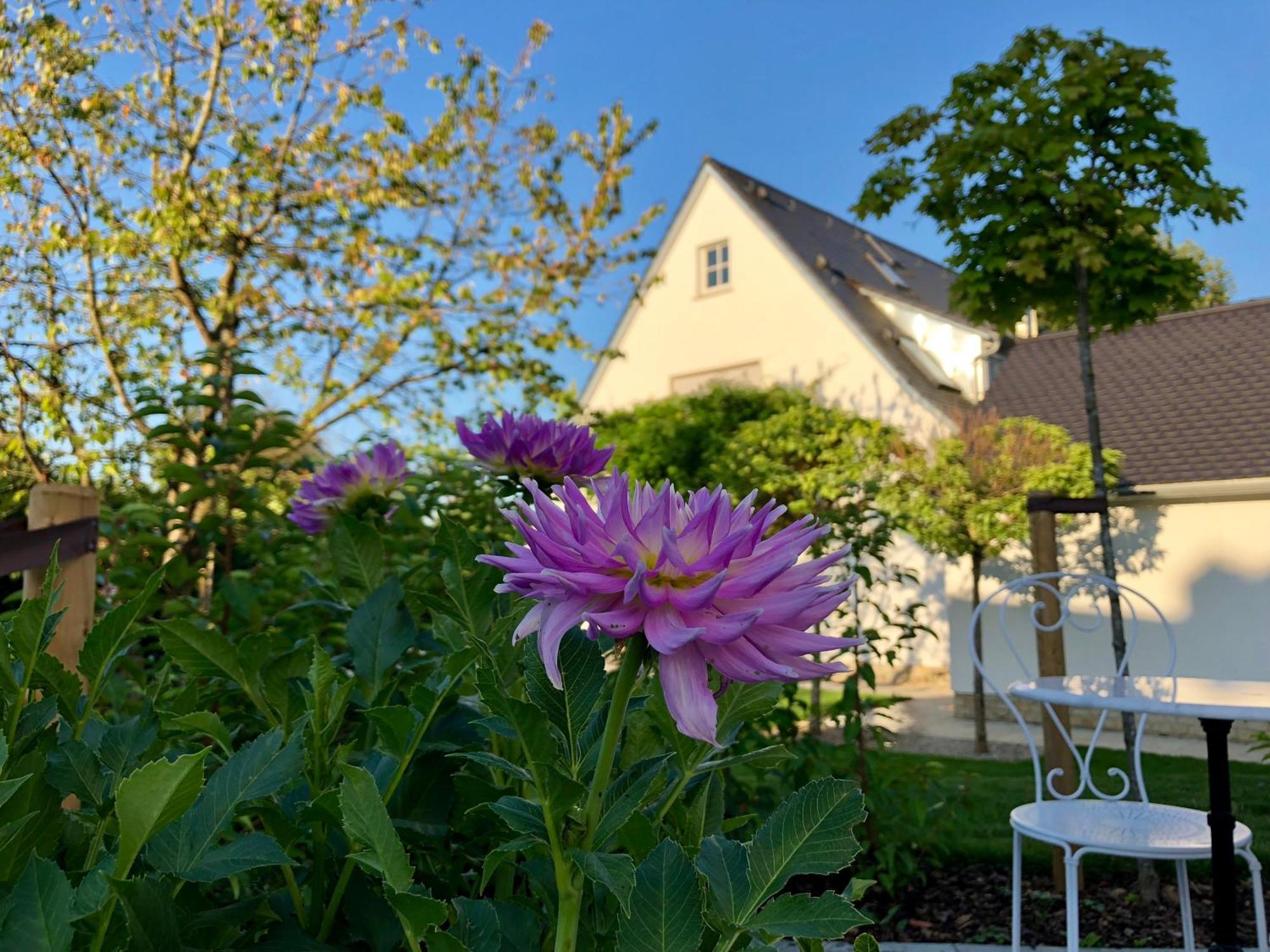 B & B Villa Dahlia Backnang Exterior photo