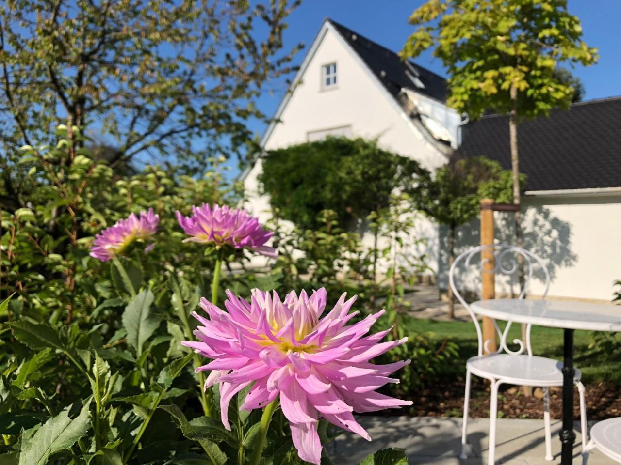 B & B Villa Dahlia Backnang Exterior photo